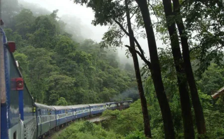 Escape the Bangalore Heat: Top Sakleshpur Resort for Summer Holidays