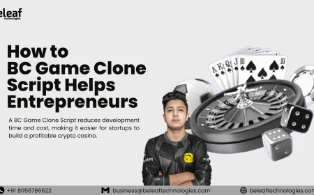 How to BC Game Clone Script Helps Entrepreneurs Launch a Crypto Casino Platform?