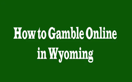 How to Gamble Online in Wyoming: 5 Perspectives for Safe and Enjoyable Play