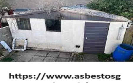 asbestos garage roof removal