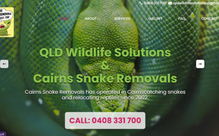 Best Cape York Spotter Catcher