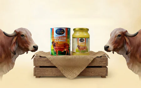 Best A2 Cow Ghee in India: How to Choose the Right One in 2026