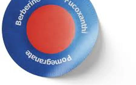 Can Purisaki patches help reduce food cravings?