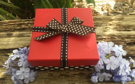 Symbolism Behind Butterfly Release in San Diego Events