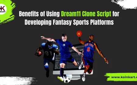 Benefits of Using Dream11 Clone Script for  Developing Fantasy Sports Platforms