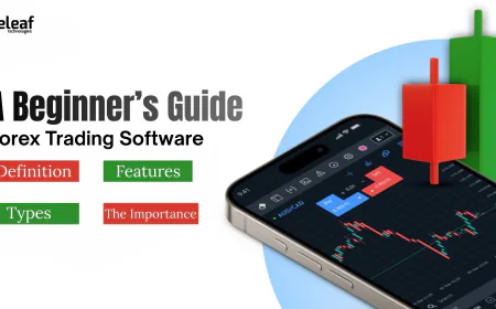 A Beginner’s Guide to Forex Trading Software and How It Works
