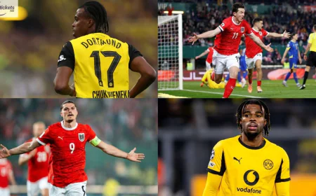 Algeria Vs Austria Tickets: Dortmund Star Chukwuemeka Chooses Austria for World Cup