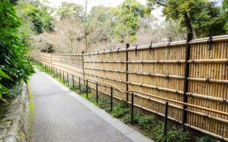 How to Choose the Best Fence Company for Quality and Reliable Installation