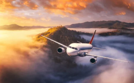 Hello, My dad's experience with FindAirportTerminal