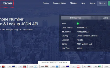What Can You Discover Using a Reverse Phone Lookup API?