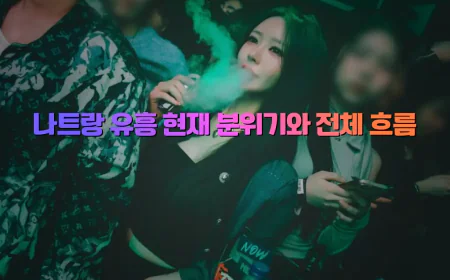 나트랑 밤의 끝판왕, 실패 없는 나트랑 불건마 총정리 가이드