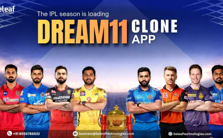 The IPL season is loading… your Dream11 Clone App is good to go