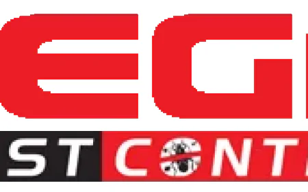 When Is the Best Time to Call Pest Control Abbotsford Experts?