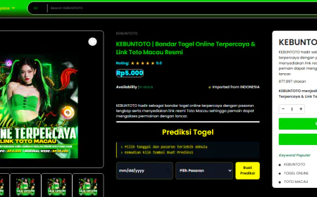 Togel Online and Toto Macau: Understanding Bandar Togel Online Platforms