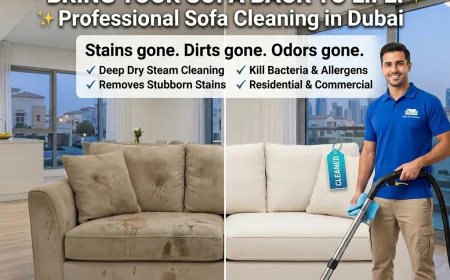 Affordable Sofa Cleaners for Homes