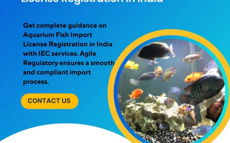 Simplifying Aquarium Fish Import License Registration in India