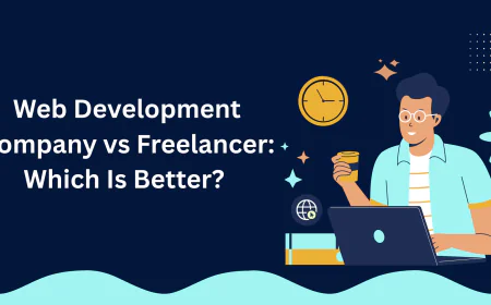 Web Development Company vs Freelancer: Which Is Better?