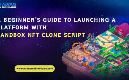 A Beginner’s Guide to Launching a Platform with Sandbox NFT Clone Script