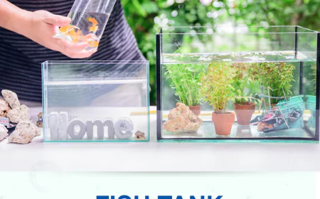 Does Fish Tank Reverse Osmosis Remove Chlorine and Heavy Metals Completely?