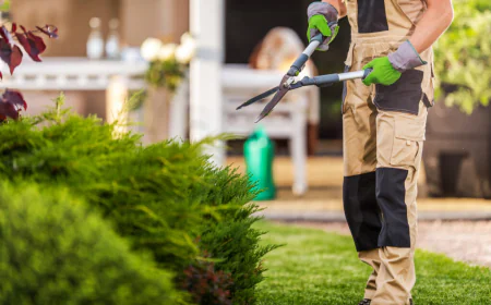 Winter Care Service: Keeping Your Outdoor Spaces Healthy All Season