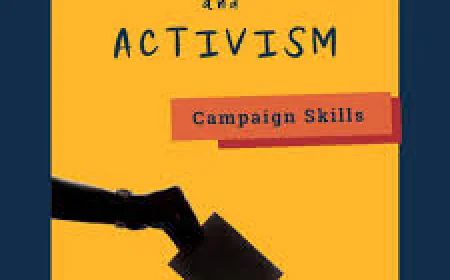 Why a Political Strategist For Progressive Campaigns Matters