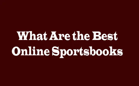 What Are the Best Online Sportsbooks? A Complete Guide for Smart Bettors