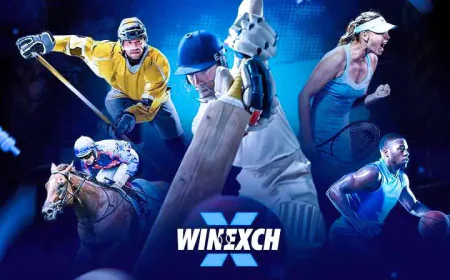 Winexch: Winexch – Smart & Secure Online Gaming Platform