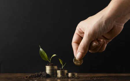 Mutual Fund Investment: A Complete Guide to Building Wealth Smartly