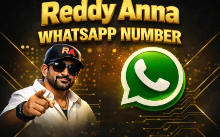 Reddy Anna WhatsApp Number – Contact for Sports ID