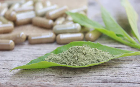 10 Organic Memory Enhancers Backed by Science for Better Recall