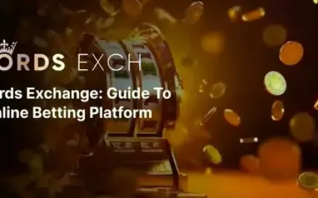 Lordexch - A Comprehensive Guide to the Platform and Its Features