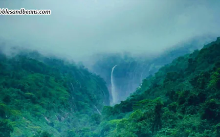 Monsoon Romance In Sakleshpur