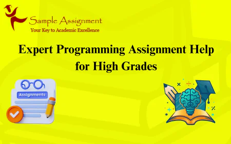 Reliable Programming Assignment Help for College & University