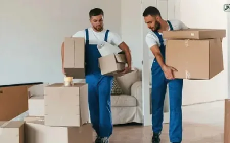 How to Choose the Best Moving Company in San Antonio, TX