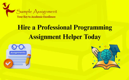 Hire a Professional Programming Assignment Helper Today
