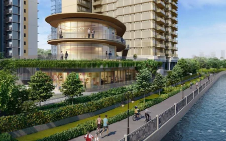 How Can You Use Velabay SG Safely and Effectively?