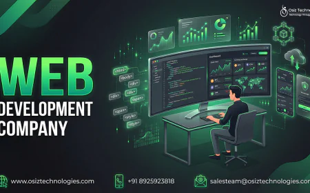 Why Is Hiring a Web Development Company Better Than Freelancers  