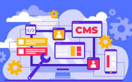 Why Businesses Invest in CMS Development Services in USA