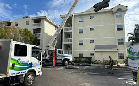 Professional Fumigation Services: Process, Benefits, and Safety