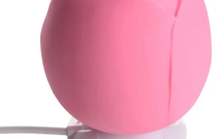 Common Myths and Misconceptions About Sex Toys ?