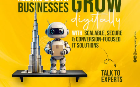 The Performance Ladder Approach: Easywebplans IT LLC as an Online Marketing Agency in Dubai.