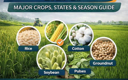 Indian Agriculture Seasons Guide – Kharif, Rabi & Zaid Crops Explained
