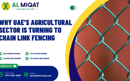 Why UAE’s Agricultural Sector Is Turning to Chain Link Fencing
