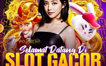 Temukan semua yang perlu