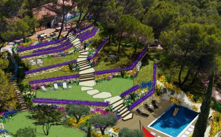 Architecte paysagiste Saint Claude de Diray : jardins sur mesure