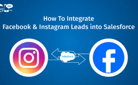 Unlock Growth with Salesforce Instagram & Facebook Messenger Integration Solutions