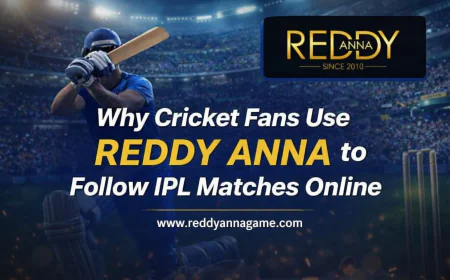 Why Cricket Fans Use Reddy Anna to Follow IPL Matches Online