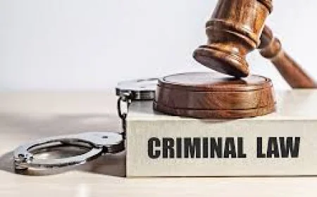 Why Legal Representation Matters in Complex Fraud Cases