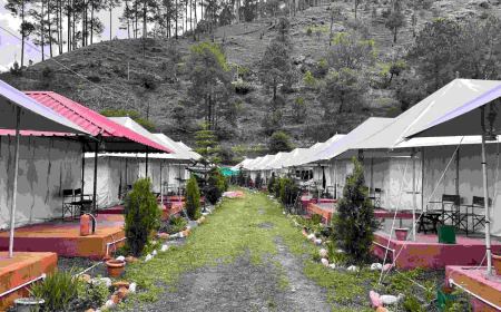 From Desert Festivals to Sacred Gatherings: Where to Stay for India’s Most Unique Travel Experiences