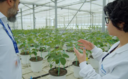 India Agricultural Biologicals Market Forecast 2034: Industry Size, Expansion & Growth Outlook